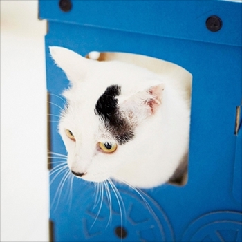 つめとぎ猫機関車