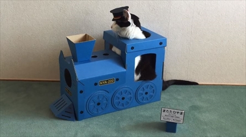 つめとぎ猫機関車