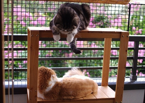 なめネコれおくんピーチくん