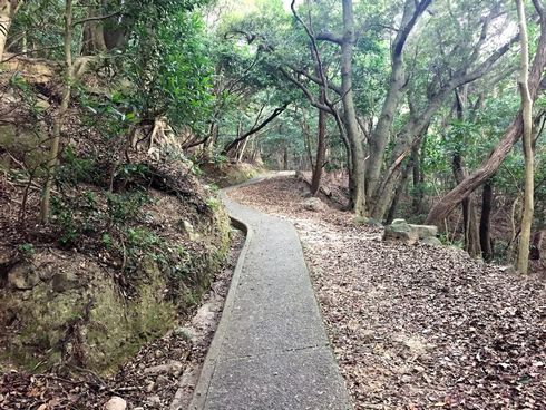 ドラゴンクエスト　洲本　スタンプラリー