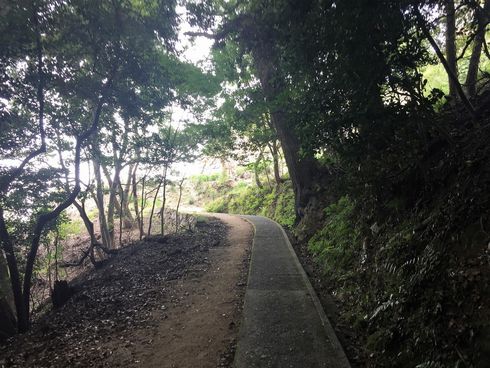 ドラゴンクエスト　洲本　スタンプラリー