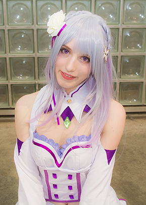 Re:ゼロから始める異世界生活 エミリア ハイディ