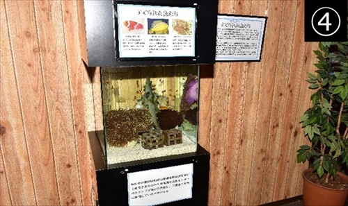 串本海中公園センター