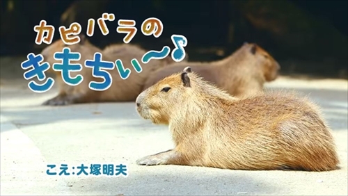 LIXILカピバラの打たせ湯