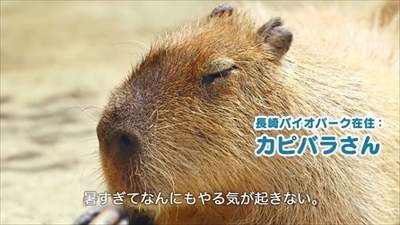 LIXILカピバラの打たせ湯