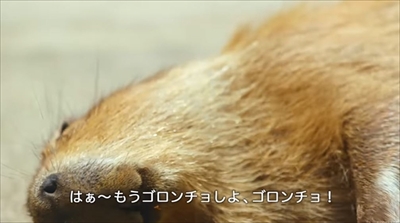 LIXILカピバラの打たせ湯