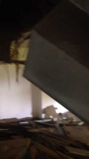 廃墟 撮影 動画 馬