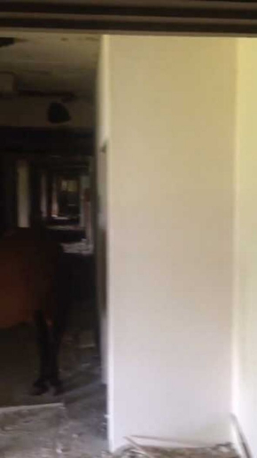 廃墟 撮影 動画 馬