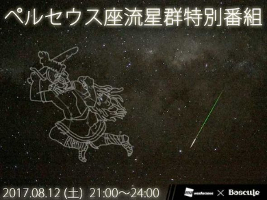 ペルセウス座流星群 観測 ウェザーニュース