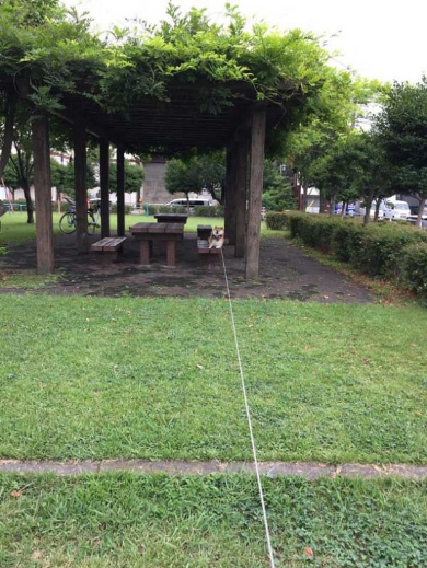 柴犬 ハナちゃん 公園 帰らない リード