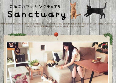 ねこカフェ列車 養老鉄道 こねこカフェSanctuary