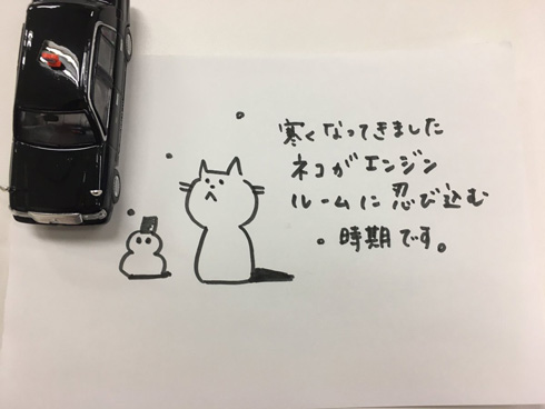 夏も「猫バンバン」が必要かも