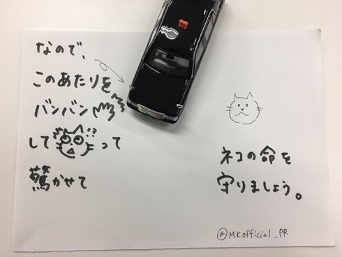 夏も「猫バンバン」が必要かも