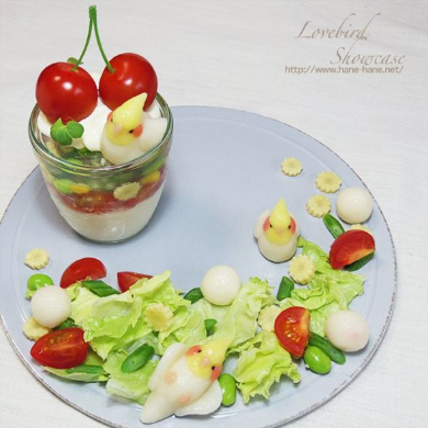 インコ 白玉 野菜 ゼリー