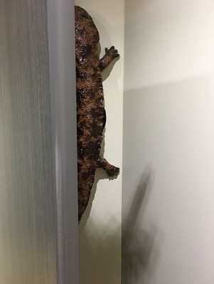 オオサンショウウオ