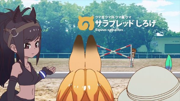 けものフレンズ　ウマのフレンズ