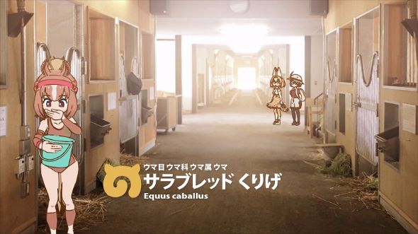 けものフレンズ　JRA