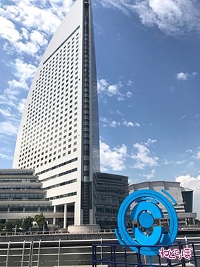 ピカチュウ ピカチュウ大量発生チュウ ポケモン ポケモンGO ポケゴ