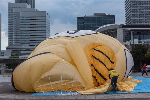 ピカチュウ ピカチュウ大量発生チュウ ポケモン ポケモンGO ポケゴ