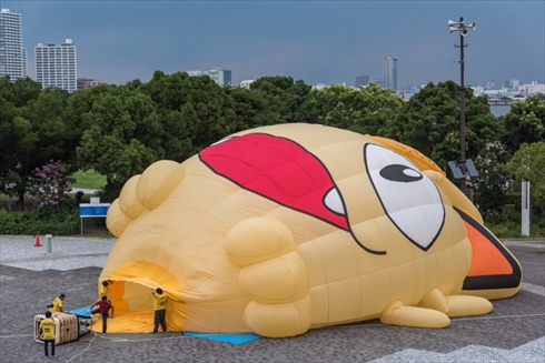 ピカチュウ ピカチュウ大量発生チュウ ポケモン ポケモンGO ポケゴ