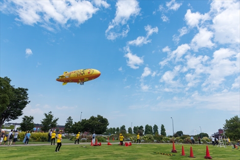ピカチュウ ピカチュウ大量発生チュウ ポケモン ポケモンGO ポケゴ
