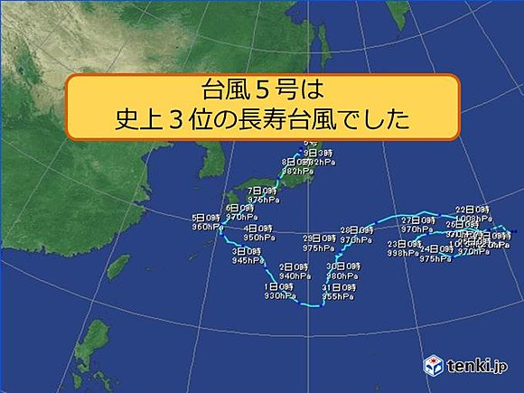 台風5号大往生