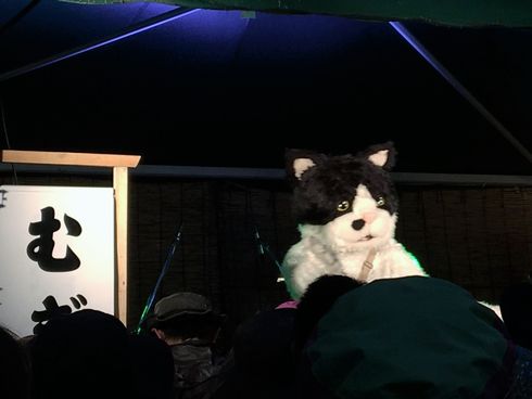 むぎ（猫）　ライブ　猫　音楽　インタビュー