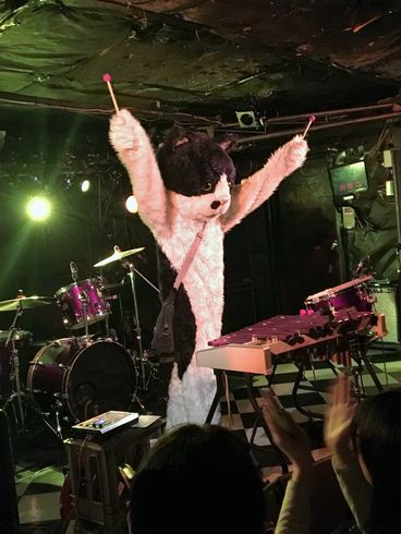 むぎ（猫）　ライブ　猫　音楽　インタビュー