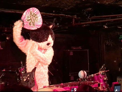 むぎ（猫）　ライブ　猫　音楽　インタビュー