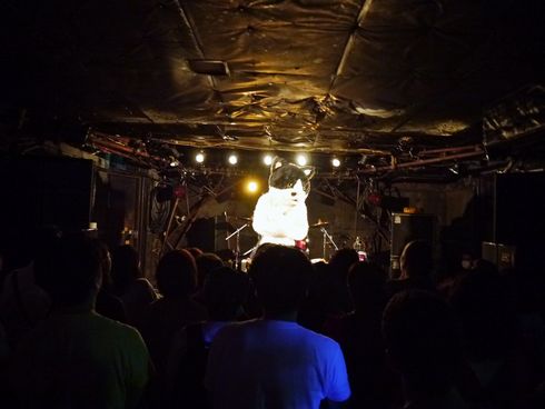 むぎ（猫）　ライブ　猫　音楽　インタビュー