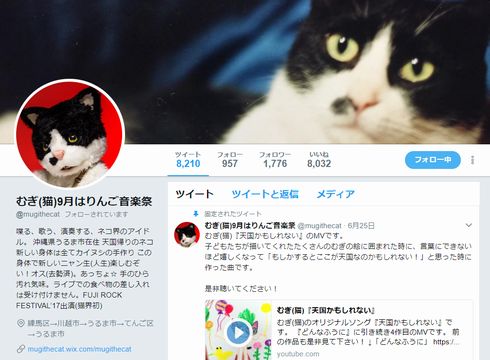 むぎ（猫）　ライブ　猫　音楽　インタビュー