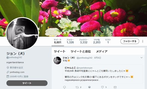 むぎ（猫）　ライブ　猫　音楽　インタビュー