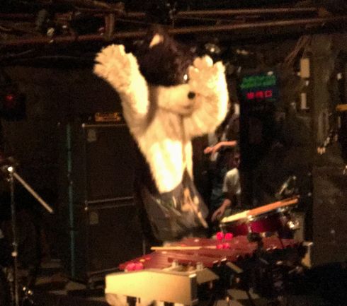 むぎ（猫）　ライブ　猫　音楽　インタビュー