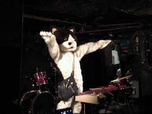 むぎ（猫）　ライブ　猫　音楽　インタビュー