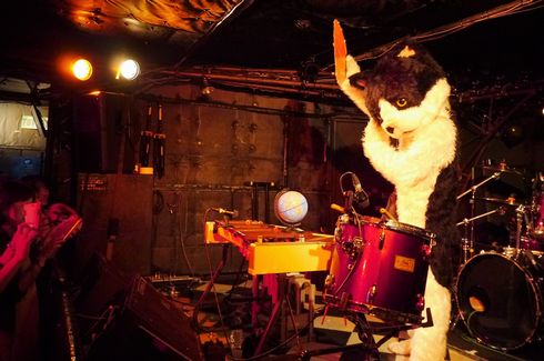 むぎ（猫）　ライブ　猫　音楽　インタビュー