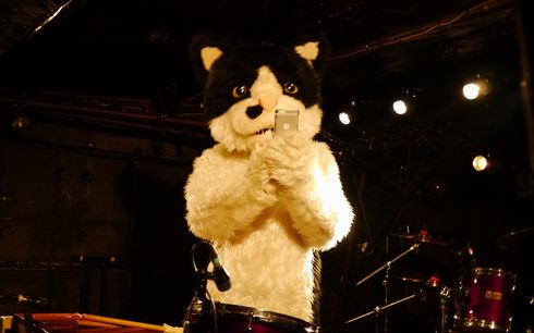 むぎ（猫）　ライブ　猫　音楽　インタビュー