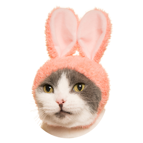 フランボワーズ