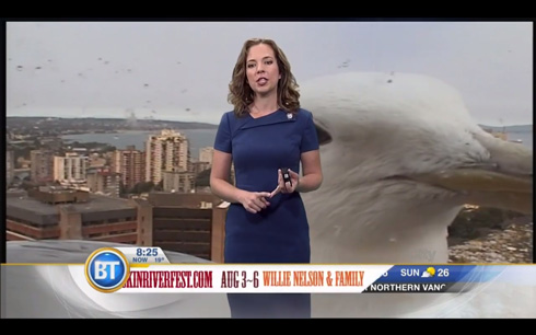 カナダのニュース番組、巨大カモメが映り込むハプニング