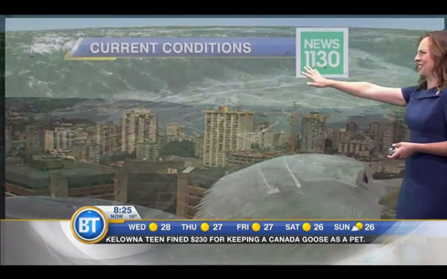 カナダのニュース番組、巨大カモメが映り込むハプニング