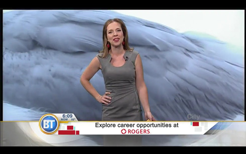 カナダのニュース番組、巨大カモメが映り込むハプニング