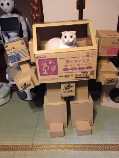猫 ロボ 段ボール 立体化