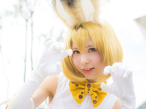 夏コミ C92 コスプレ けもフレ サーバル