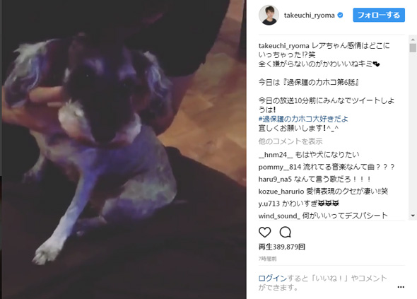 竹内涼真