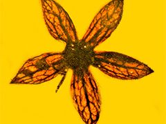 240_news092.jpg