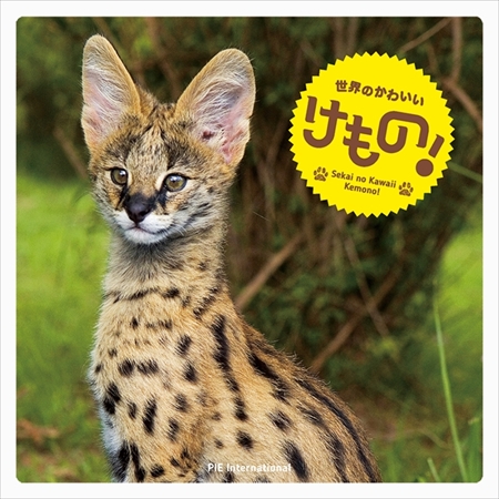 世界のかわいいけもの