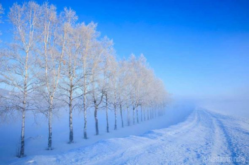 東京駅 雨の日 反射 写真
