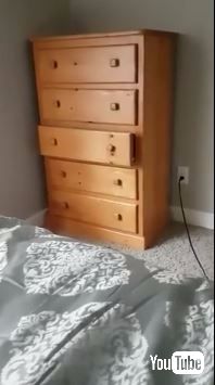 猫 タンスに入る