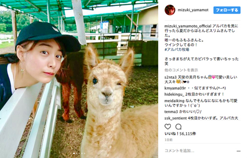 山本美月 アルパカ