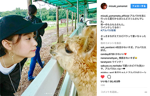 山本美月 アルパカ