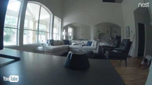 セキュリティカメラ 子ども ニンジャ